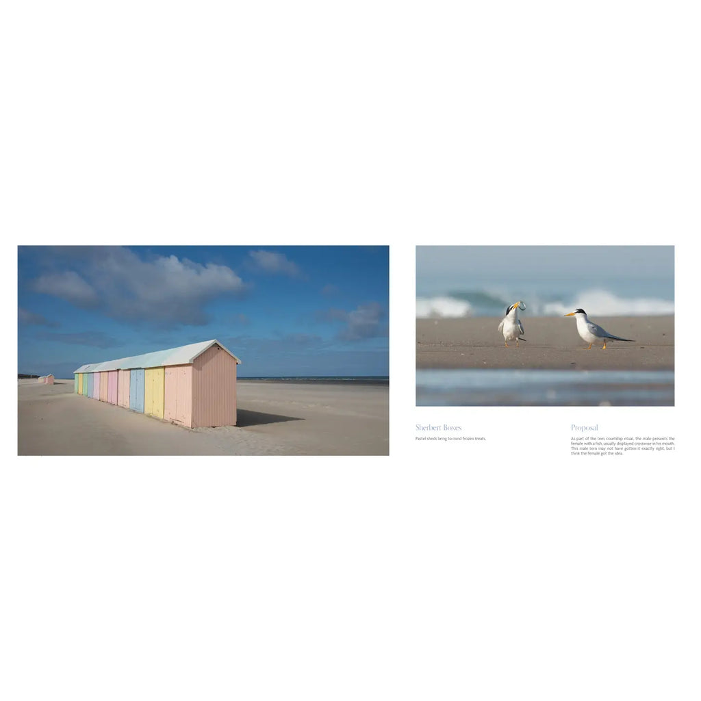 Celebrating Beaches Coffee Table Book Yup Sup