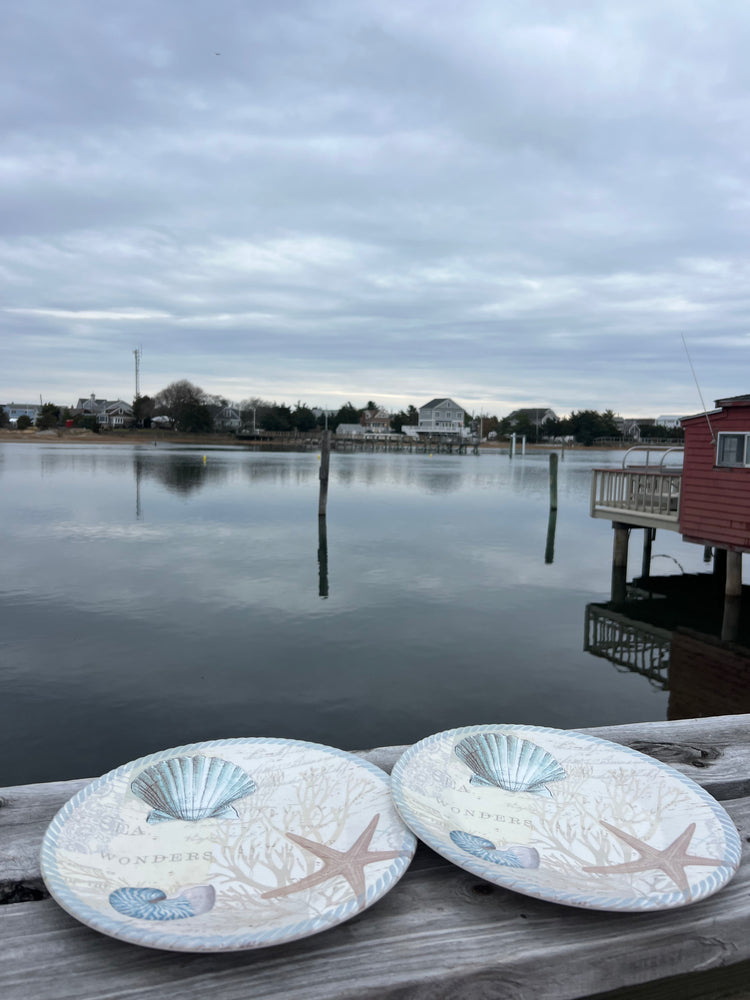 Large Blue Shell Plates -- Set of 2 – Yup Sup
