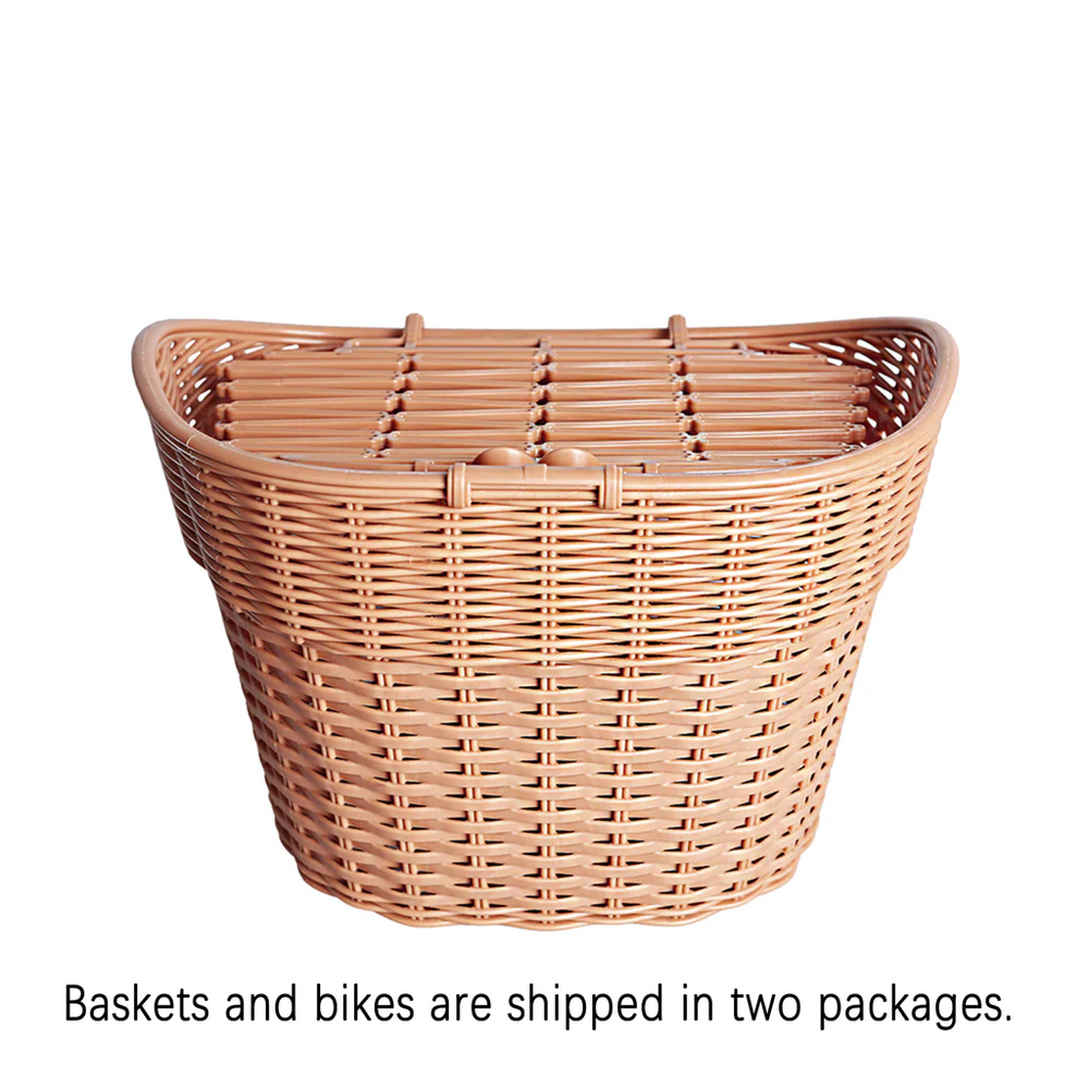 Classic eBike with Basket
