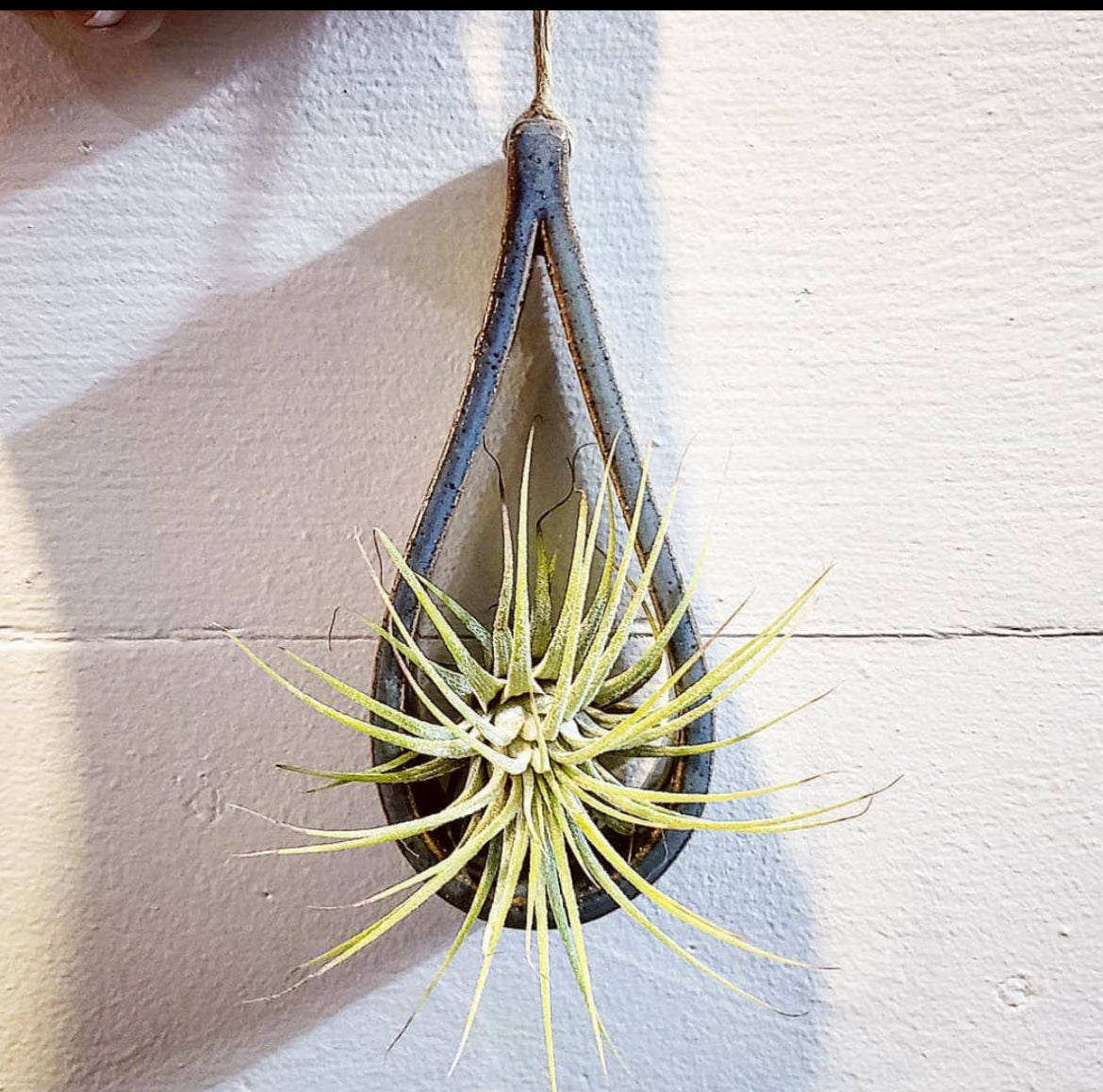 Ceramic Teardrop Air Plant Holder – Yup Sup