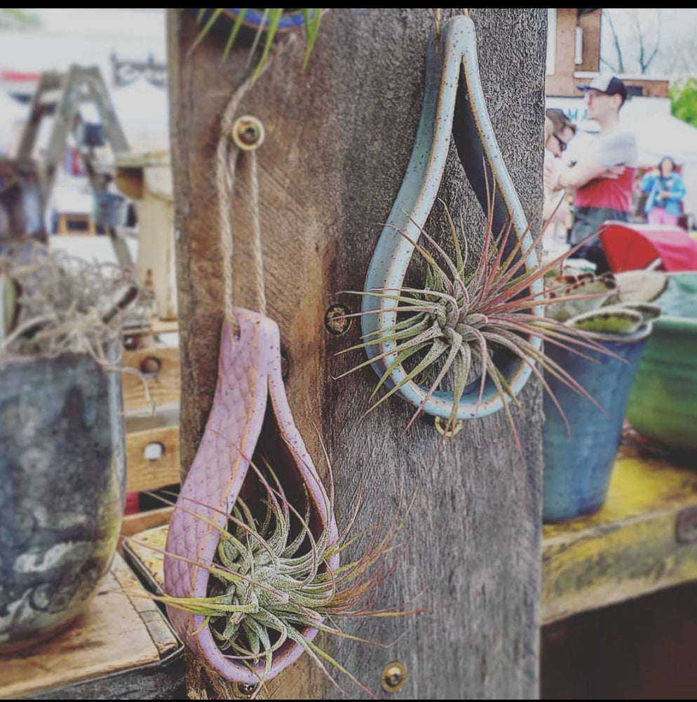 teardrop air plant holder Ceramic Teardrop Air Plant Holder