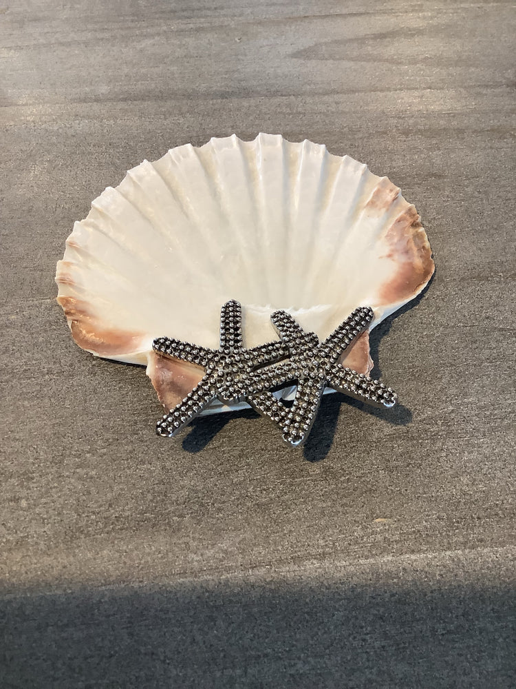 Scallop Starfish Shell Dishes Set