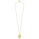 Long Gold Oyster Necklace